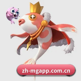 满冠体育 APP